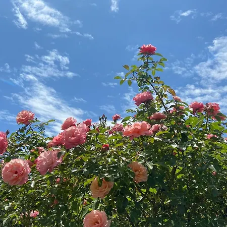 Farm stay Torrebianca *