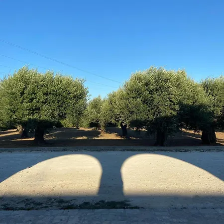 Torrebianca Farm stay