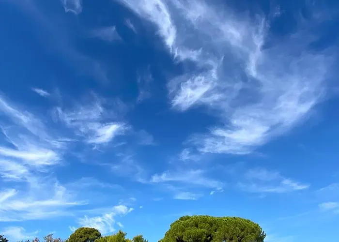 Farma Torrebianca Manduria